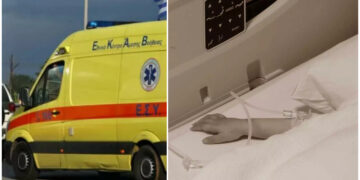 Alldaynews.gr Νέα Τραγωδία με 2,5 ετών κοριτσάκι: Έκανε όπισθεν και το πάτησε ο πατέρας του-Μάχη να κρατηθεί στη ζωή