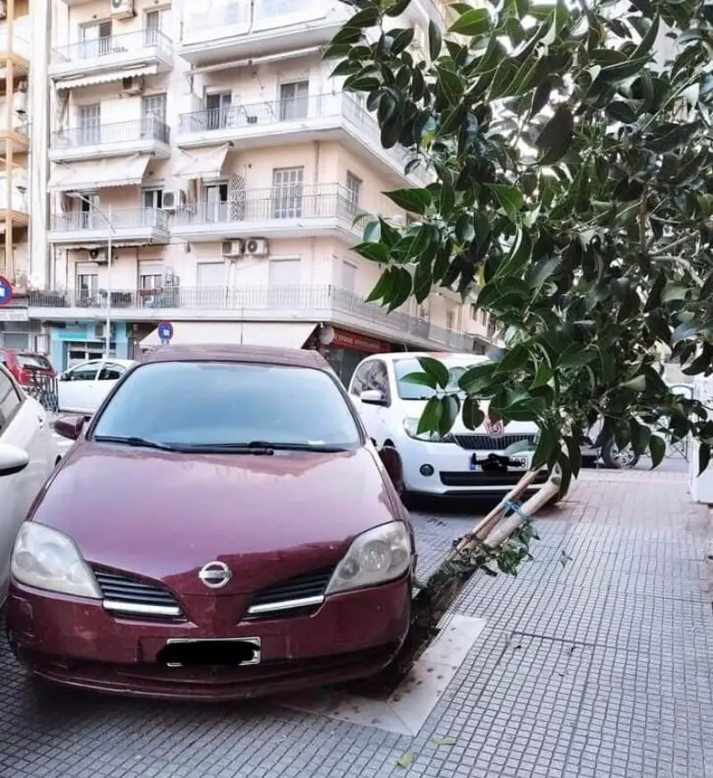 Θεσσαλονίκη παρκάρισμα δέντρο