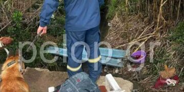 Alldaynews.gr Ώρες αγωνίας για το 2χρονο κοριτσάκι που αγνοείται στον Πύργο – Σήμερα οι έρευνες μέσα στο αρδευτικό κανάλι