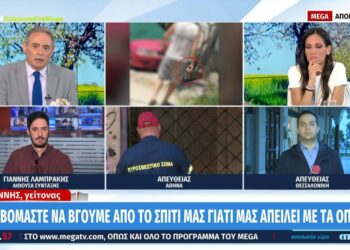 Γείτονας σπέρνει τον τρόμο: «Φοβόμαστε να βγούμε από το σπίτι μας γιατί μας απειλεί με όπλo»