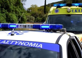 Alldaynews.gr «Θρίλερ» στον Κορυδαλλό: Κινδύνευσαν μητέρες και παιδιά από πυροβολισμούς