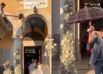 Alldaynews.gr Το πήγαν σε άλλο επίπεδο: Τους έριχναν ρύζι με φτυάρια από εκσκαφέα! (video)