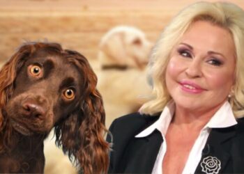 Μπέσσυ Αργυράκη: «Πήρα κατά λάθος το χάπι του σκύλου μου»