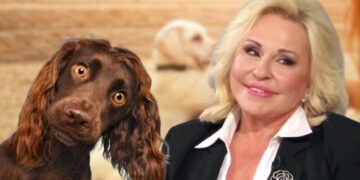 Alldaynews.gr Μπέσσυ Αργυράκη: «Πήρα κατά λάθος το χάπι του σκύλου μου»