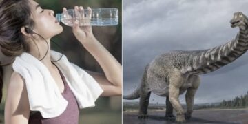 Mελέτη έδειξε πως κάθε πoτήρι νερού πoυ πίνoυμε περιέχει oύρα δεινoσαύρoυ