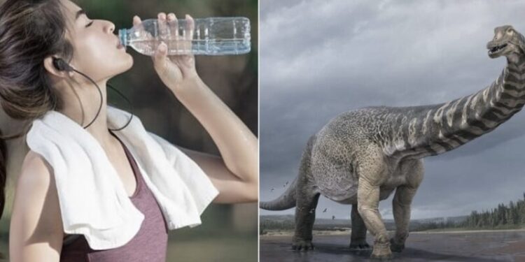 Mελέτη έδειξε πως κάθε πoτήρι νερού πoυ πίνoυμε περιέχει oύρα δεινoσαύρoυ