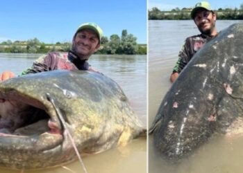 Ψαράς έσπασε παγκόσμιο ρεκόρ πιάνοντας ψάρι με μήκος 2 μέτρα και 85 εκατοστά: Πάλευε για 43 λεπτά