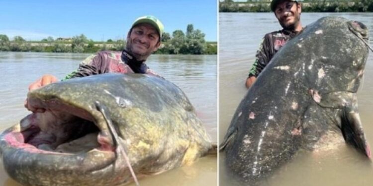 Alldaynews.gr Ψαράς έσπασε παγκόσμιο ρεκόρ πιάνοντας ψάρι με μήκος 2 μέτρα και 85 εκατοστά: Πάλευε για 43 λεπτά