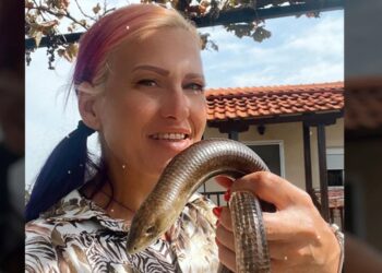 Alldaynews.gr Θεσσαλονίκη-Δάγκωμα Οχιas: «Χρωστάω τη ζωή μου στους γιατρούς» – Τα πρώτα λόγια της 39χρονης