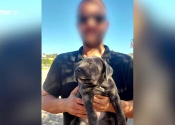 Αυτός είναι ο 38χρονος που βρέθηκε με σφαίρα στο κεφάλι – Τι λέει ο απόστρατος αστυνομικός & πατέρας (video)