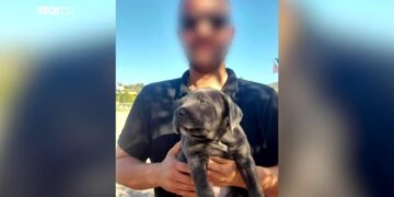 Alldaynews.gr Αυτός είναι ο 38χρονος που βρέθηκε με σφαίρα στο κεφάλι – Τι λέει ο απόστρατος αστυνομικός & πατέρας (video)