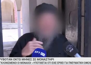 Alldaynews.gr 29