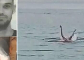 Νέα φρίκη: Που βρέθηκαν τα λείψανa του 23χρονου που κατασπάραξε ο καρχαρίας[video]