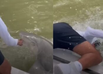 Σοκaριστικό Βίντεο: Ψαράς βάζει τα χέρια του στα νερά και τον τραβά καρχαρίας