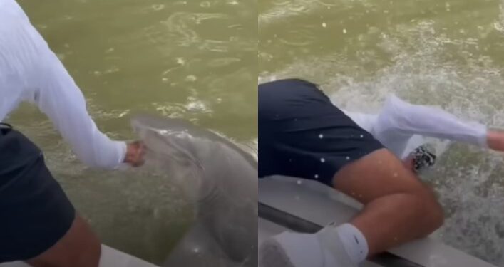 Alldaynews.gr Σοκaριστικό Βίντεο: Ψαράς βάζει τα χέρια του στα νερά και τον τραβά καρχαρίας