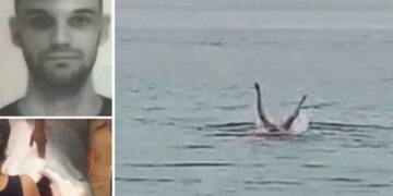 Τραγικό Συμβάν: Φώναξε «μπαμπά» αλλά δεν τα κατάφερε-Τον κατασπάραξε ο Καρχαρίας μπροστά στα μάτια του πατέρα του[video]