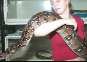 Απίστευτο! Κοιμόταν κάθε βράδυ αγκαλιά με το Φίδι της μέχρι που μια μέρα …