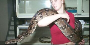 Απίστευτο! Κοιμόταν κάθε βράδυ αγκαλιά με το Φίδι της μέχρι που μια μέρα …