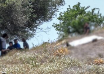 Έγκλημα στην Ηλεία: Ο 83χρονος Δολοφόνος και το 52χρονο θύμα είχαν από παλιά διαφορές-Τον eκτέλεσε Εν Ψυχρώ[Φωτογραφίες]