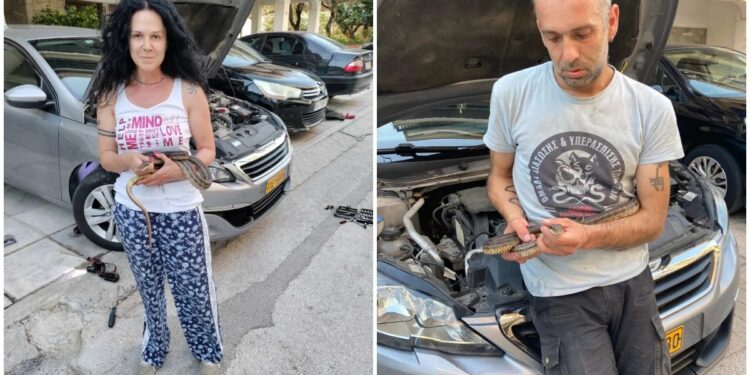 Alldaynews.gr Θεσσαλονίκη: Άνοιξε το καπό του ταξί της και βρήκε… φίδι! (φωτο)
