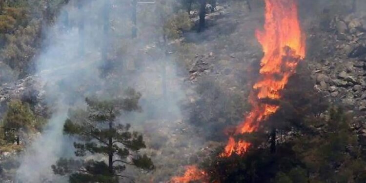 Φωτιά τώρα στη Σάμο – Επιχειρούν 5 εναέρια μέσα