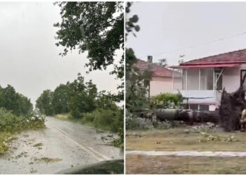 Κοζάνη: Θυελλώδεις άνεμοι ξεριζώνουν δέντρα και… κεραμίδια (φωτο, video)