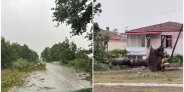 Κοζάνη: Θυελλώδεις άνεμοι ξεριζώνουν δέντρα και… κεραμίδια (φωτο, video)
