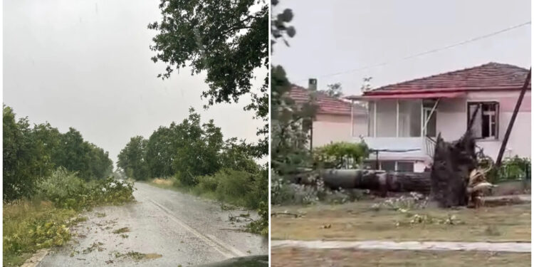 Κοζάνη: Θυελλώδεις άνεμοι ξεριζώνουν δέντρα και… κεραμίδια (φωτο, video)