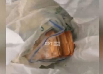 Alldaynews.gr Nεαρός έκλεψε 35.000 ευρώ από τη γειτόνισσα και τα “επένδυσε” σε τζόγο, καταθέσεις και ΙΧ (video)