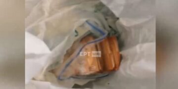 Alldaynews.gr Nεαρός έκλεψε 35.000 ευρώ από τη γειτόνισσα και τα “επένδυσε” σε τζόγο, καταθέσεις και ΙΧ (video)