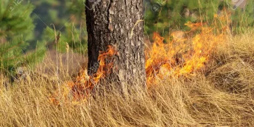 Καύσωνας: Ανησυχία από το «hot, dry, windy» – Η απειλή από τις πυρομετεωρολογικές συνθήκες