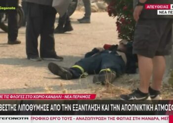 Alldaynews.gr Φωτιά στη Μάνδρα: Πυροσβέστης κατέρρευσε μπροστά στα μάτια των συναδέλφων του – Δείτε το βίντεο