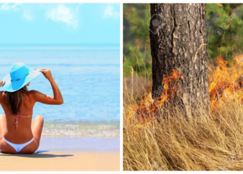 Καύσωνας: Ανησυχία από το «hot, dry, windy» – Η απειλή από τις πυρομετεωρολογικές συνθήκες