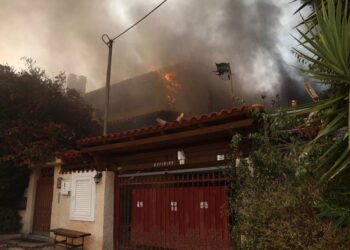 Alldaynews.gr Προσαγωγή αλλοδαπού για τη φωτιά στον Κουβαρά – Η φωτιά κάλυψε 12 χιλιόμετρα σε δύο ώρες (video)