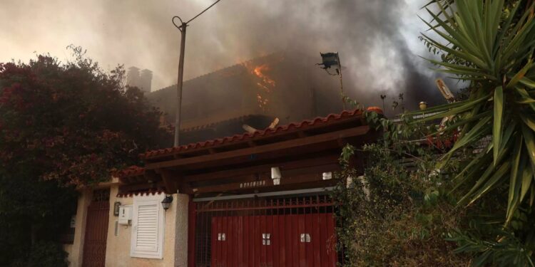 Alldaynews.gr Προσαγωγή αλλοδαπού για τη φωτιά στον Κουβαρά – Η φωτιά κάλυψε 12 χιλιόμετρα σε δύο ώρες (video)