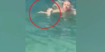 Alldaynews.gr Σαλαμίνα: Μέλος πληρώματος ferry boat βούτηξε για να σώσει γατάκι που πνιγόταν