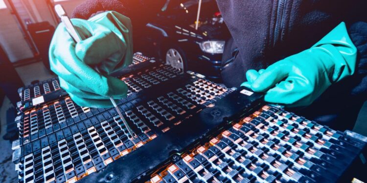 Alldaynews.gr Αυτό είναι το επάγγελμα του μέλλοντος στην Ελλάδα -Χιλιάδες θέσεις εργασίας τα επόμενα χρόνια