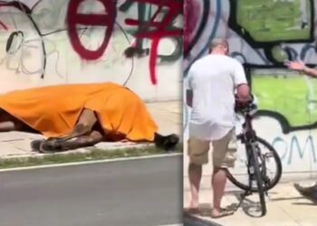 Κέρκυρα: «Είδα φόνο στο βλέμμα» λέει ο ποδηλάτης για τους νταήδες αμαξάδες με το νεκρό άλογο