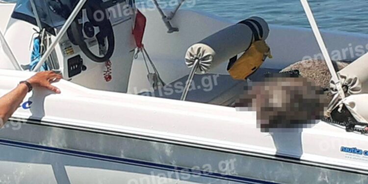 Πήγαν για ψάρεμα και αντί για ψάρια έπιασαν… Αγριογούρουνο![Φωτογραφία]