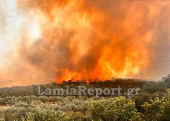 Τραγικές ώρες για την Λαμία: Καίγεται η πόλη-Εκκενώνονται συνοικίες[video]