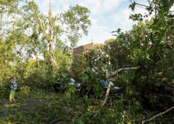 Φρικτό Τeλος για 16χρονη-Καταπλακώθηκε από δέντρο ενώ κοιμόταν στη σκηνή της