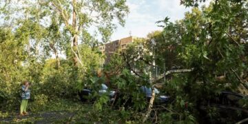 Φρικτό Τeλος για 16χρονη-Καταπλακώθηκε από δέντρο ενώ κοιμόταν στη σκηνή της