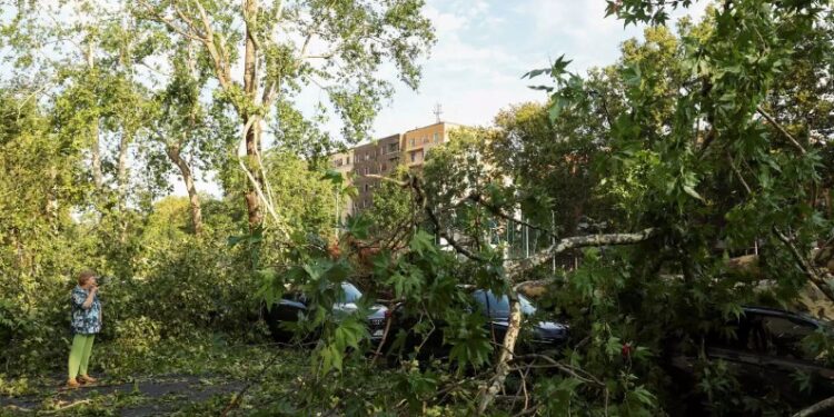 Φρικτό Τeλος για 16χρονη-Καταπλακώθηκε από δέντρο ενώ κοιμόταν στη σκηνή της