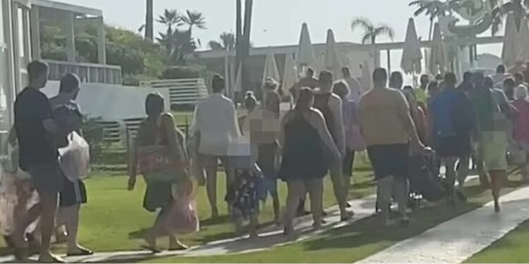 Μάχη για μια ξαπλώστρα δίνουν από τα χαράματα οι τουρίστες[video]