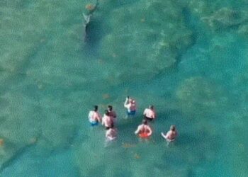 Απίστευτο βίντεο: Ομάδα κολυμβητών έμεινε ακίνητη… και ο μεγάλος καρχαρίας πέρασε από δίπλα τους