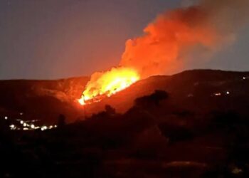 Alldaynews.gr Φωτιά σε δασική έκταση στη Χίο