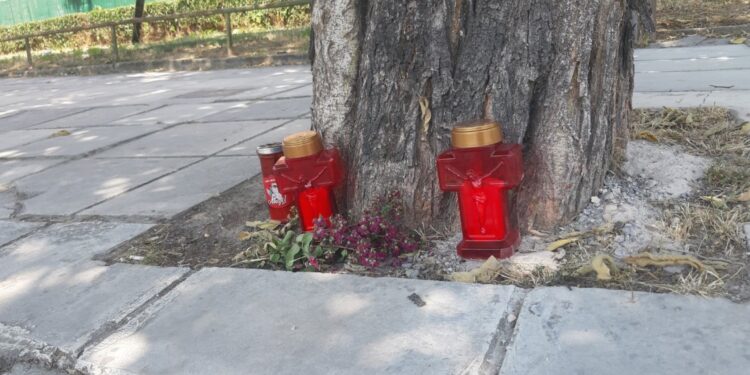 Alldaynews.gr Αυτό είναι το δέντρο “προσευχής” για την αδικοχαμένη 41χρονη Γιαννούλα που σκοτώθηκε μετά από παράσυρση στη Λάρισα