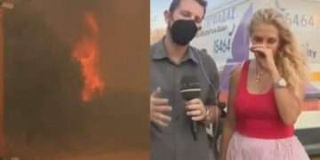 Alldaynews.gr Λαγονήσι-Φωτιά: Σοκάρει με τρεμάμενη φωνή η Μαίρη Μηλιαρέση! «Δυστυχώς, δεν προλάβανε…»