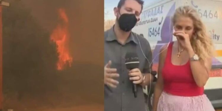Alldaynews.gr Λαγονήσι-Φωτιά: Σοκάρει με τρεμάμενη φωνή η Μαίρη Μηλιαρέση! «Δυστυχώς, δεν προλάβανε…»