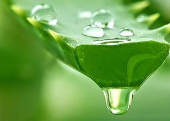 Αλόη βέρα και ασπαρτάμη στη λίστα του ΠΟΥ με τις πιθανώς καρκινογόνες ουσίες